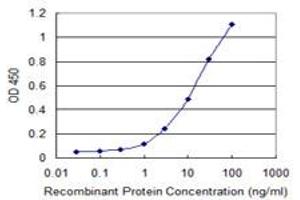 Detection limit for recombinant GST tagged IL1F7 is 0. (IL-37 antibody  (AA 1-218))