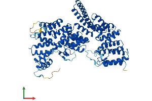 Protein Structure (PS) image for Tetratricopeptide Repeat Domain 30A (TTC30A) (AA 1-665) protein (His tag) (ABIN7544931)