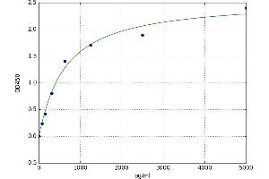 Pyruvate Kinase M1/2 (PKM) ELISA Kit