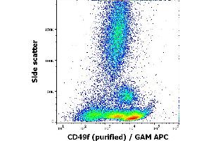 Flow cytometry surface staining pattern of human peripheral whole blood stained using anti-human CD49f (GoH3) purified antibody (concentration in sample 1,7 μg/mL, GAM APC).