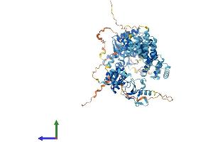 AlphaFold protein structure predicition of Human Recombinant EXD3 Protein, UniprotID Q8N9H8