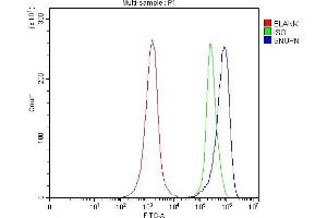 Flow Cytometry analysis of JK cells using anti-SNURPORTIN1/SNUPN antibody (ABIN7599310). (Snurportin 1 antibody  (AA 1-360))