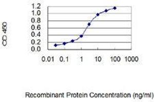Detection limit for recombinant GST tagged CLECL1 is 0. (CLECL1 antibody  (AA 82-167))