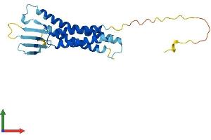 AlphaFold protein structure predicition of Mouse Recombinant Cldn3 Protein, UniprotID Q9Z0G9 (Claudin 3 Protein (CLDN3) (AA 1-219) (His tag))