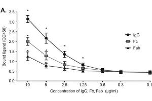 Full-length coagulase protein binding to prothrombin, canine IgG, and complement C3.