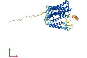 AlphaFold protein structure predicition of Mouse Recombinant Hm13 Protein, UniprotID Q9D8V0