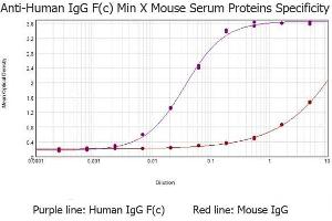 ELISA results of purified Goat anti-Human IgG F(c) antibody (min x Mouse serum proteins) tested against purified Human IgG F(c) . (Goat anti-Human IgG (Fc Region) Antibody - Preadsorbed)
