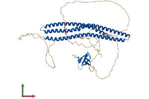 AlphaFold protein structure predicition of Human Recombinant BAIAP2L2 Protein, UniprotID Q6UXY1