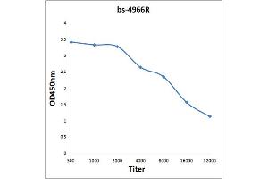 Antigen: 0. (PAPOLA antibody  (AA 601-700))