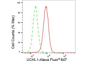 Flow cytometric analysis of UCHL1 expression in HAP-1 cells using UCHL1 antibody (ABIN7800707), 1:2,000). (Recombinant UCHL1 antibody)