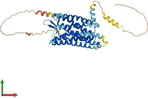 AlphaFold protein structure predicition of Human Recombinant SSTR1 Protein, UniprotID P30872 (SSTR1 Protein (AA 1-391) (His tag))