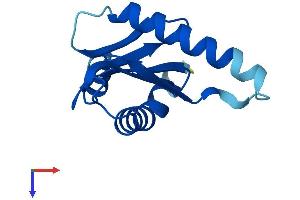 LAMTOR2 Protein (AA 1-125) (His tag)