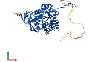 AlphaFold protein structure predicition of Mouse Recombinant Dpysl2 Protein, UniprotID O08553