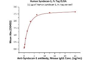 Immobilized Human Syndecan-1, Fc Tag (ABIN6973273) at 1 μg/mL (100 μL/well) can bind Acan-1 antibody, Mouse IgG1 with a linear range of 0. (Syndecan 1 Protein (SDC1) (AA 23-254) (Fc Tag))