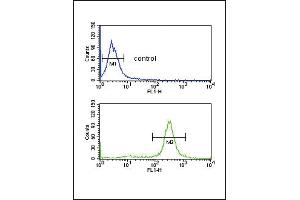 FCGR2A Antibody (C-term) (ABIN652864 and ABIN2842562) flow cytometric analysis of MDA-M cells (bottom histogram) compared to a negative control cell (top histogram). (FCGR2A antibody  (C-Term))