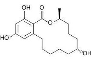 Antigen structure: Zearalenone (ZON) (Zearalenone antibody)
