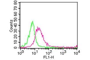 Flow Cytometry (FACS) image for anti-Membrane Metallo-Endopeptidase (MME) antibody (FITC) (ABIN5027762) (MME antibody  (FITC))