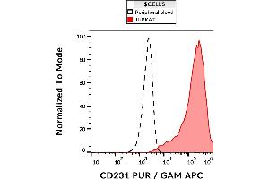 Flow cytometry analysis (surface staining) of CD231 in JURKAT cells with anti-CD231 (B2D) purified, GAM-APC. (Tetraspanin 7 antibody)