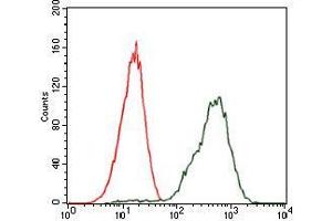Flow cytometric analysis of Jurkat cells using PDX1 mouse mAb (green) and negative control (red). (PDX1 antibody)