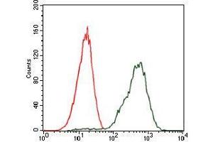 Flow cytometric analysis of Jurkat cells using PDX1 mouse mAb (green) and negative control (red). (PDX1 antibody)