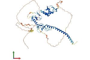 AlphaFold protein structure predicition of Mouse Recombinant Rnf217 Protein, UniprotID D3YYI7 (RNF217 Protein (AA 1-515) (His tag))