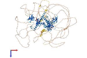 AT Rich Interactive Domain 4A (RBP1-Like) (ARID4A) (AA 1-1257) protein (His tag)