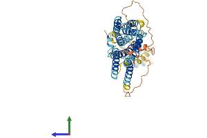 AlphaFold protein structure predicition of Human Recombinant SLC39A8 Protein, UniprotID Q9C0K1 (SLC39A8 Protein (AA 1-460) (His tag))