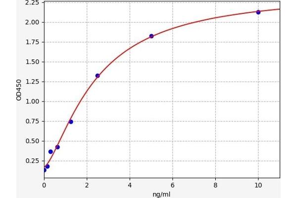 IGF2BP2 ELISA Kit