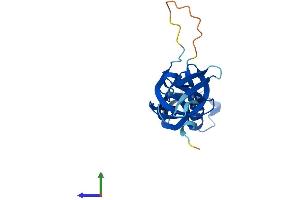 AlphaFold protein structure predicition of Human Recombinant POLR3H Protein, UniprotID Q9Y535 (POLR3H Protein (AA 1-204) (His tag))