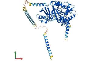 AlphaFold protein structure predicition of Mouse Recombinant Csgalnact1 Protein, UniprotID Q8BJQ9