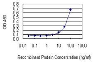 Detection limit for recombinant GST tagged NETO2 is 3 ng/ml as a capture antibody. (NETO2 antibody  (AA 426-525))