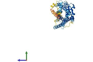 AlphaFold protein structure predicition of Human Recombinant CXCR5 Protein, UniprotID P32302 (CXCR5 Protein (AA 1-372) (His tag))