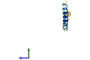 Protein Structure (PS) image for Lens Epithelial Protein (LENEP) (AA 1-61) protein (Fc Tag) (ABIN7556315)