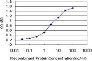 Detection limit for recombinant GST tagged MEF2BNB is approximately 0. (MEF2BNB antibody  (AA 1-119))