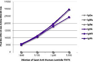 FLISA plate was coated with purified human IgGκ, IgMκ, IgAκ, IgGλ, IgMλ, and IgAλ. (Goat anti-Human Ig (Chain lambda) Antibody (TRITC))
