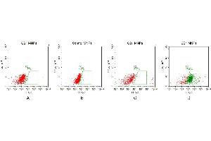 FACS analysis of CB1 MNPs A. (CNR1 Protein)