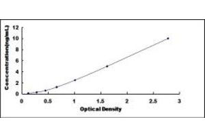 Typical standard curve (HCCS ELISA Kit)