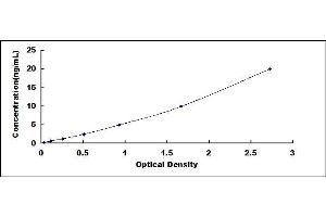 Typical standard curve (TIMP2 ELISA Kit)