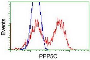 Image no. 2 for anti-Protein Phosphatase 5, Catalytic Subunit (PPP5C) antibody (ABIN1500388) (PP5 antibody)