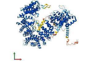 Protein Structure (PS) image for Importin 7 (IPO7) (AA 1-1038) protein (His tag) (ABIN7554176)