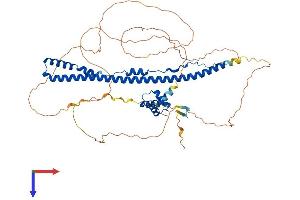 AlphaFold protein structure predicition of Human Recombinant SPATS2 Protein, UniprotID Q86XZ4 (SPATS2 Protein (AA 1-545) (His tag))