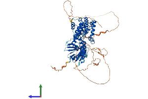 Protein Structure (PS) image for Ral GEF with PH Domain and SH3 Binding Motif 1 (RALGPS1) (AA 1-585) protein (His tag) (ABIN7561949)