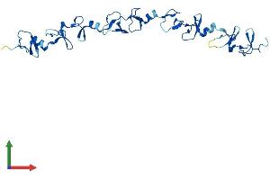 AlphaFold protein structure predicition of Mouse Recombinant Fhl2 Protein, UniprotID O70433 (FHL2 Protein (AA 1-279) (His tag))