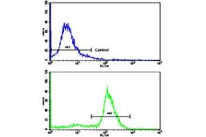 Flow cytometric analysis of ATDC5 cells using ALDH5A1 polyclonal antibody (bottom histogram) compared to a negative control cell (top histogram).