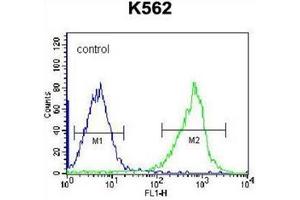Flow cytometric analysis of K562 cells using  GSTM5 Antibody (N-term) Cat. (GSTM5 antibody  (N-Term))