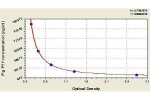 ELISA image for Peptide YY (PYY) ELISA Kit (ABIN847072)