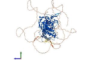 AlphaFold protein structure predicition of Human Recombinant PARG Protein, UniprotID Q86W56 (PARG Protein (PARG) (AA 1-976) (His tag))