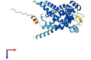 Solute Carrier Family 25, Member 32 (SLC25A32) (AA 1-315) protein (His tag)