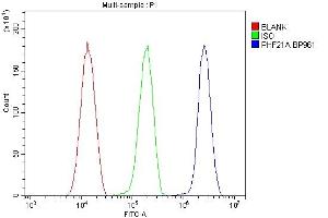 Flow Cytometry analysis of HeLa cells using anti-PHF21A antibody (ABIN6719353). (PHF21A antibody  (AA 1-97))