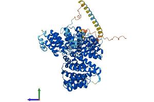 AlphaFold protein structure predicition of Mouse Recombinant Naa16 Protein, UniprotID Q9DBB4 (NARG1L Protein (AA 1-864) (His tag))